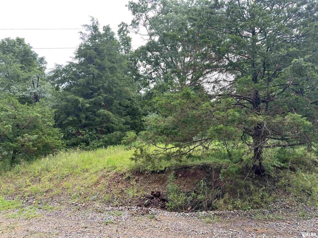 LOT211 Cherokee Dr, Goreville, IL 62939