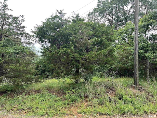 LOT211 Cherokee Dr, Goreville, IL 62939