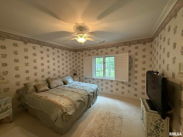 608 N Saluki Dr, Marion, IL 62959 - photo 19