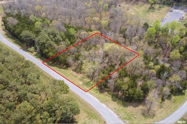 0000 Clifty Ln, Goreville, IL 62939