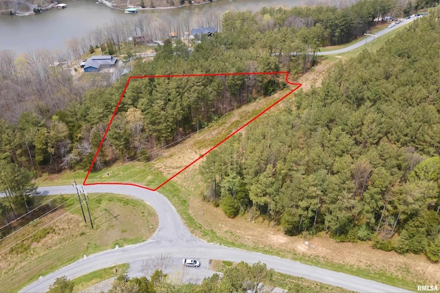 0000 Clifty Ln, Goreville, IL 62939