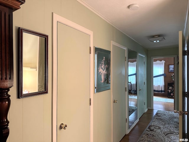 1011 W Goodall St, Marion, IL 62959 - hall with ornamental molding and dark wood-style flooring