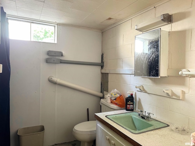 1011 W Goodall St, Marion, IL 62959 - half bath with vanity, concrete block wall, and toilet