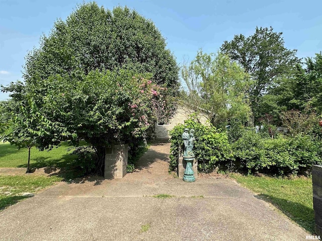 1011 W Goodall St, Marion, IL 62959 - view of property hidden behind natural elements