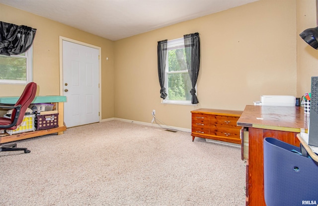 3419 Hotze Rd, Salem, IL 62881 - photo 37