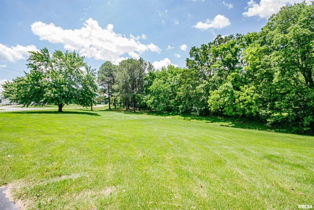 3419 Hotze Rd, Salem, IL 62881 - photo 42