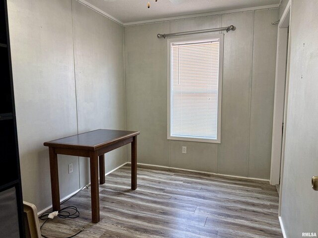 113 E 21st St, Metropolis, IL 62960 - unfurnished office with wood finished floors, ornamental molding, a ceiling fan, and a decorative wall