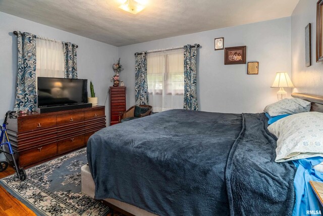 301 Orchard Dr, Carbondale, IL 62901 - photo 12
