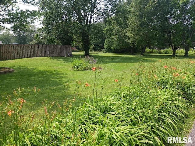 206 W Maryland St, Zeigler, IL 62999 - photo 2