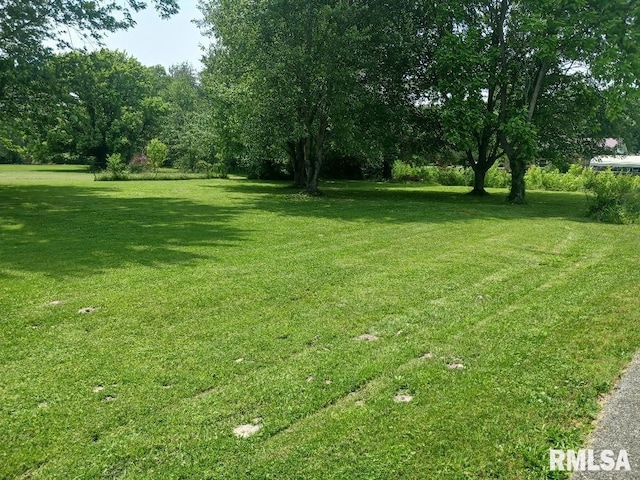 206 W Maryland St, Zeigler, IL 62999 - photo 3