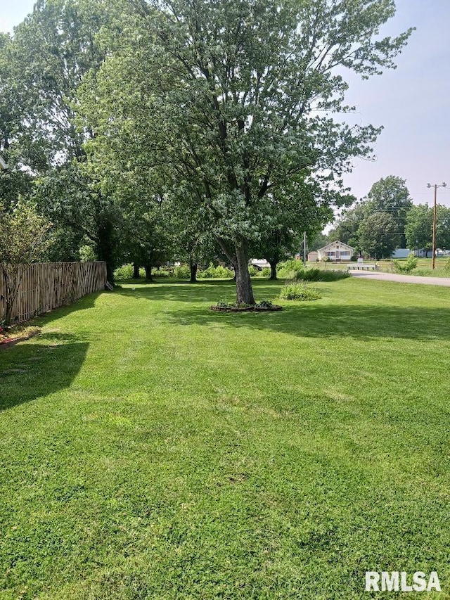 206 W Maryland St, Zeigler, IL 62999 - photo 31