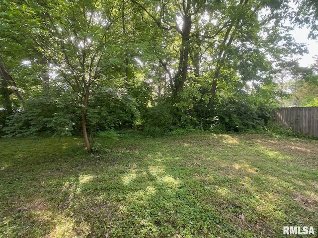 616 N Oakland Ave, Carbondale, IL 62901 - photo 30