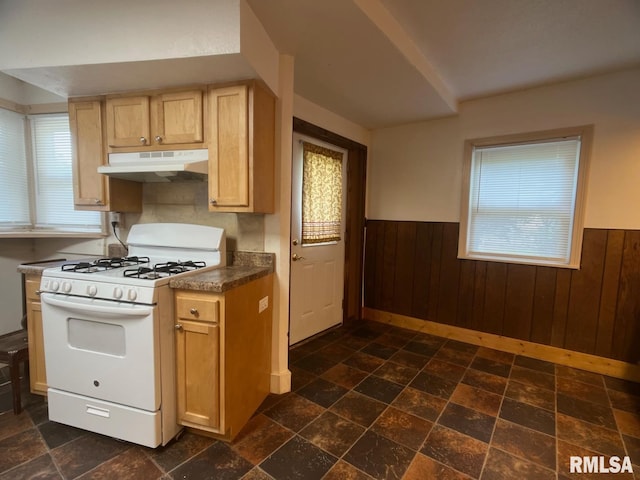 616 N Oakland Ave, Carbondale, IL 62901 - photo 5