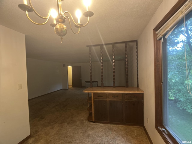105 N Violet Ln, Carbondale, IL 62901 - photo 18