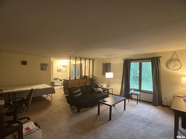 105 N Violet Ln, Carbondale, IL 62901 - photo 25