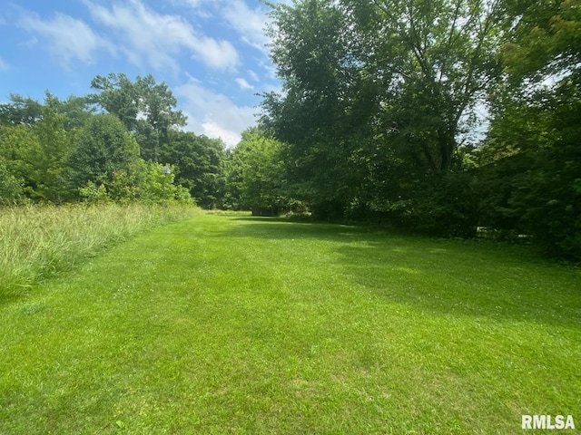105 N Violet Ln, Carbondale, IL 62901 - photo 31
