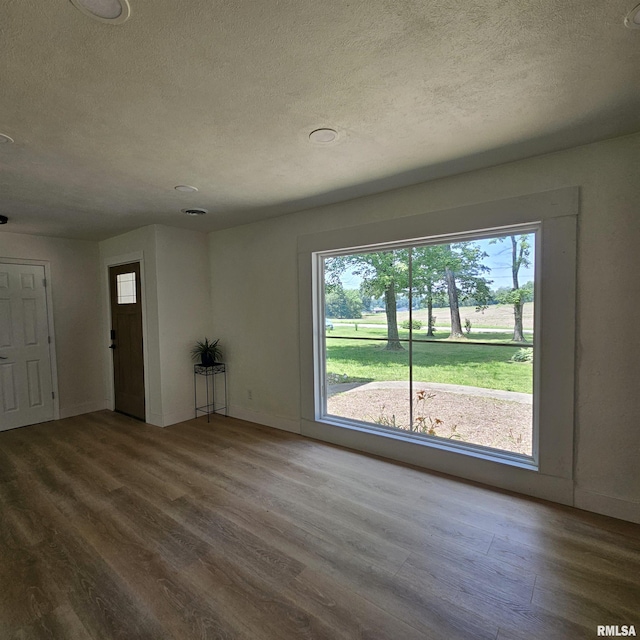 15074 N Mccauley Ln, Mount Vernon, IL 62864 - unfurnished living room with a textured ceiling, healthy amount of natural light, and wood finished floors
