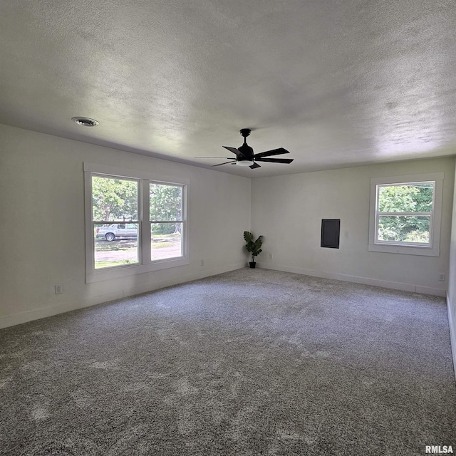15074 N Mccauley Ln, Mount Vernon, IL 62864 - unfurnished room with a textured ceiling, plenty of natural light, carpet, and ceiling fan