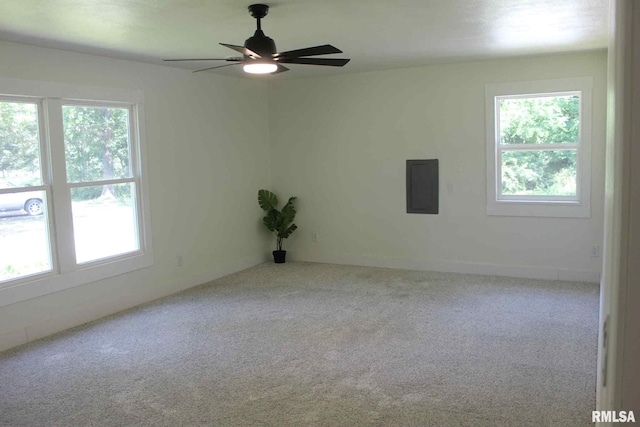 15074 N Mccauley Ln, Mount Vernon, IL 62864 - carpeted empty room with electric panel, healthy amount of natural light, and ceiling fan