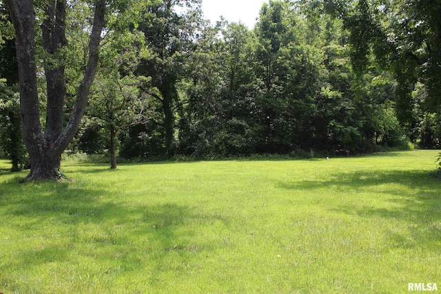 15074 N Mccauley Ln, Mount Vernon, IL 62864 - view of green lawn