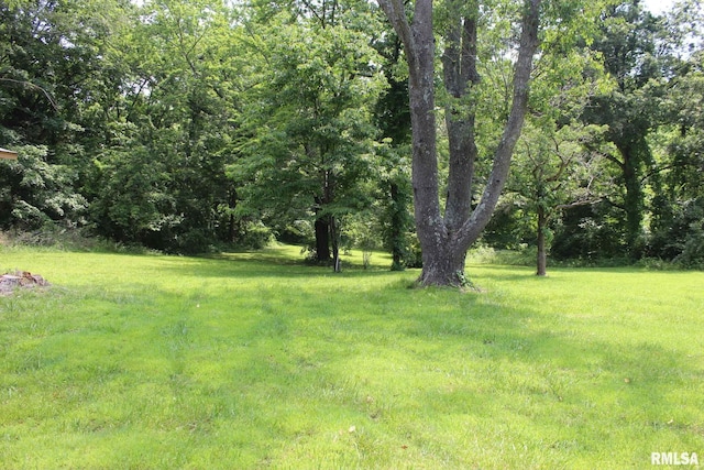 15074 N Mccauley Ln, Mount Vernon, IL 62864 - view of yard