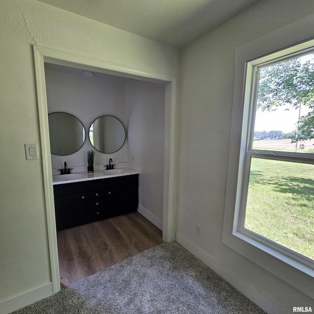 15074 N Mccauley Ln, Mount Vernon, IL 62864 - bathroom with double vanity, healthy amount of natural light, baseboards, and carpet