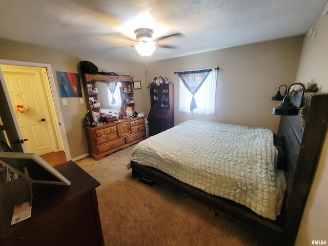 100 Stable Dr, Carterville, IL 62918 - bedroom with carpet floors and ceiling fan