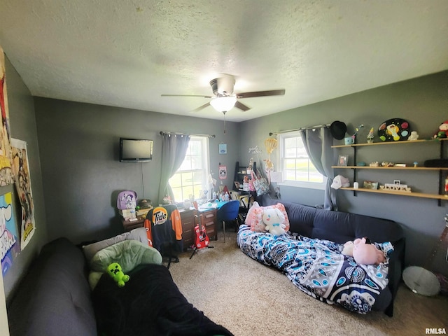 100 Stable Dr, Carterville, IL 62918 - living area with carpet, a textured ceiling, and ceiling fan
