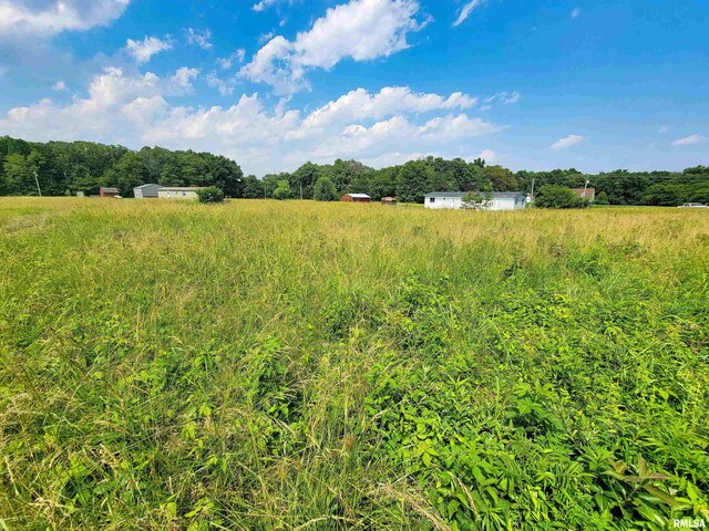 199 Hanging Rock Rd, Flora, IL 62839 - photo 3