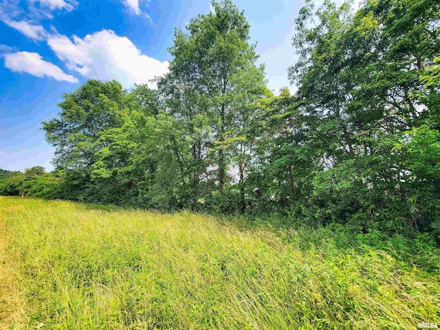 199 Hanging Rock Rd, Flora, IL 62839 - photo 4