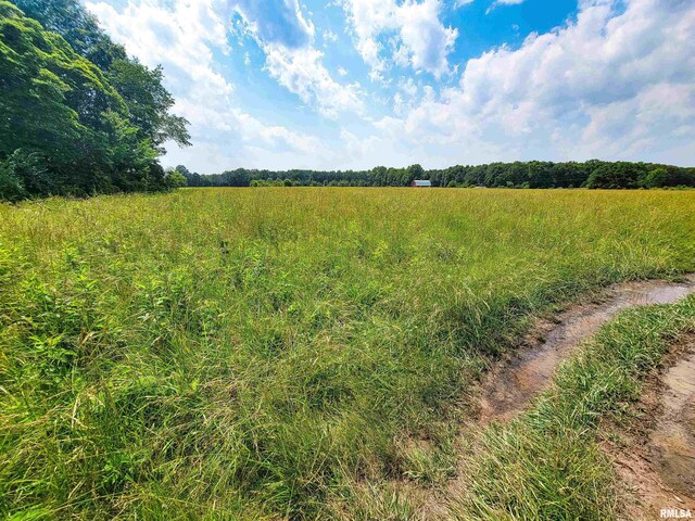 199 Hanging Rock Rd, Flora, IL 62839 - photo 5