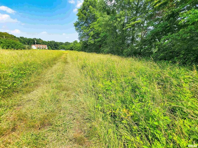 199 Hanging Rock Rd, Flora, IL 62839 - photo 6