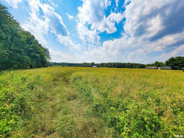 199 Hanging Rock Rd, Flora, IL 62839 - photo 7