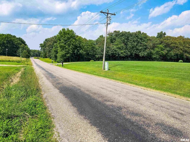 199 Hanging Rock Rd, Flora, IL 62839 - photo 8