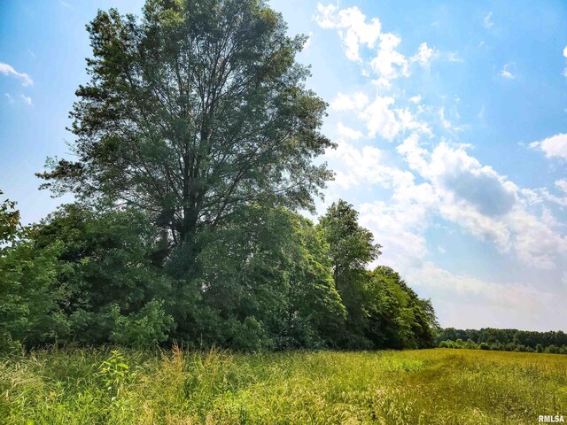 199 Hanging Rock Rd, Flora, IL 62839 - photo 10