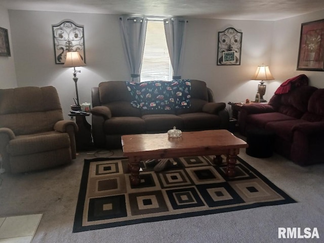 2623 Kk Rd, Waterloo, IL 62298 - living room with carpet