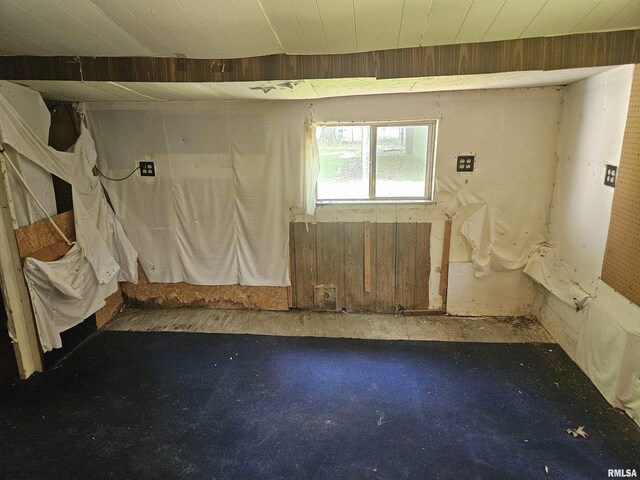 1233 W Harrison Rd, Murphysboro, IL 62966 - photo 11