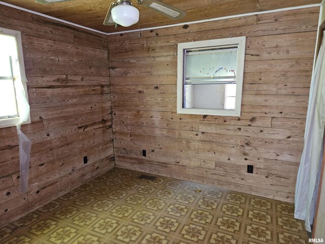 1233 W Harrison Rd, Murphysboro, IL 62966 - photo 19