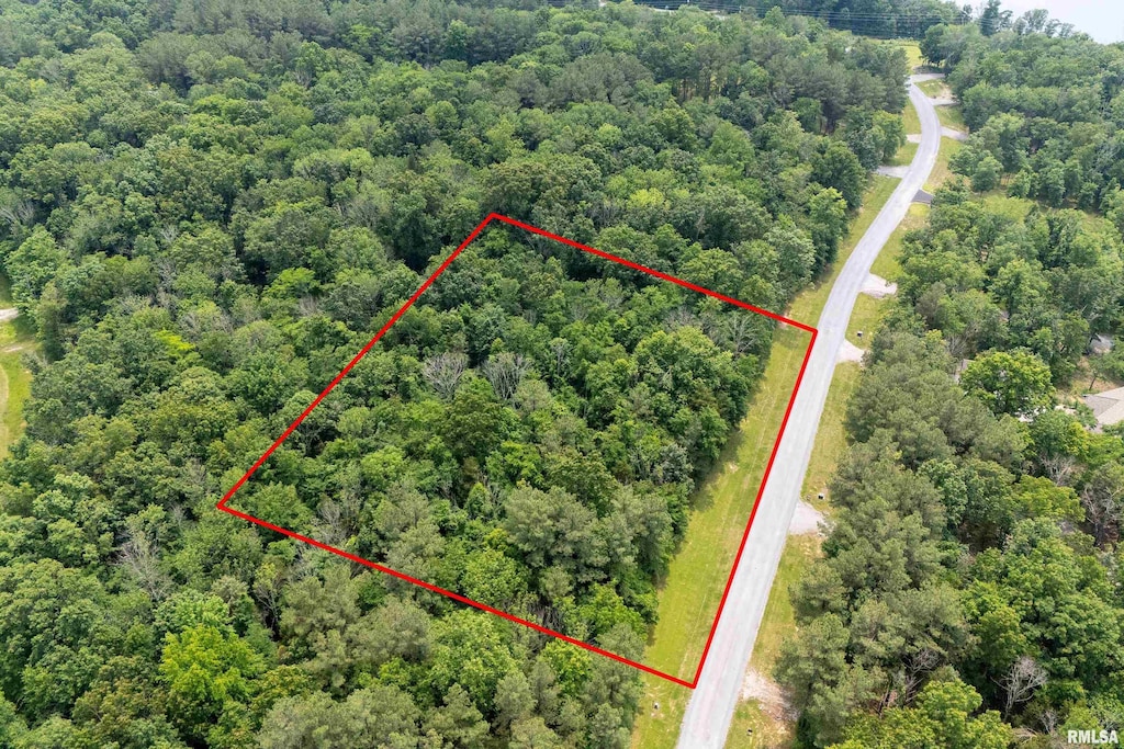 LOT411-412 Parrish Ridge Rd, Goreville, IL 62939 - photo 1