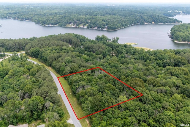 LOT411-412 Parrish Ridge Rd, Goreville, IL 62939 - photo 4