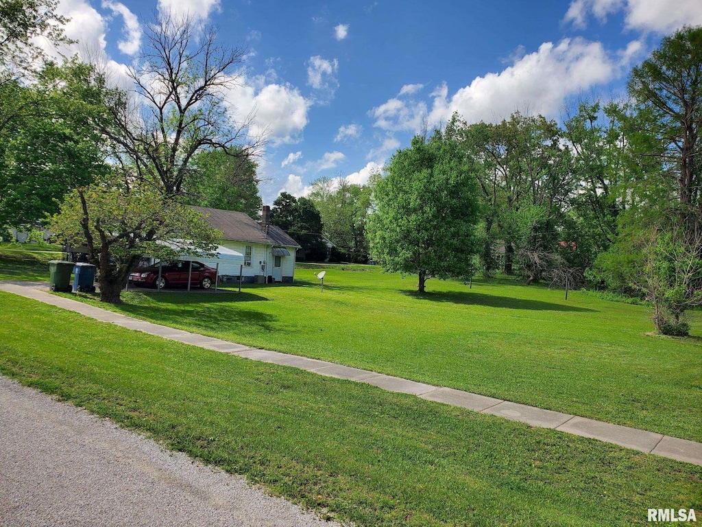 411 W Main St, Desoto, IL 62924 - photo 2