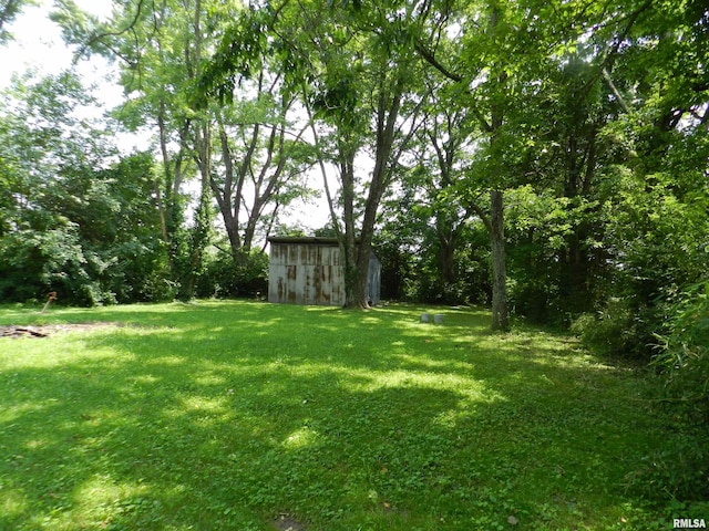 4370 Buncombe Rd, Vienna, IL 62995 - view of grassy yard featuring a storage unit