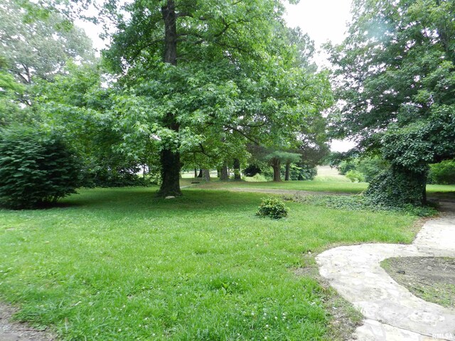 4370 Buncombe Rd, Vienna, IL 62995 - view of green lawn