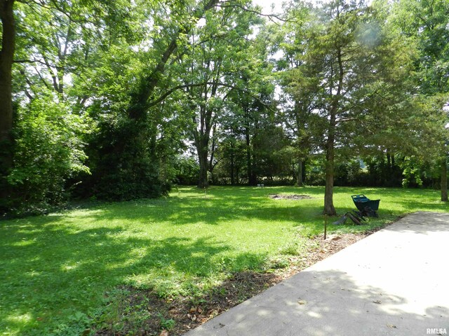 4370 Buncombe Rd, Vienna, IL 62995 - view of green lawn