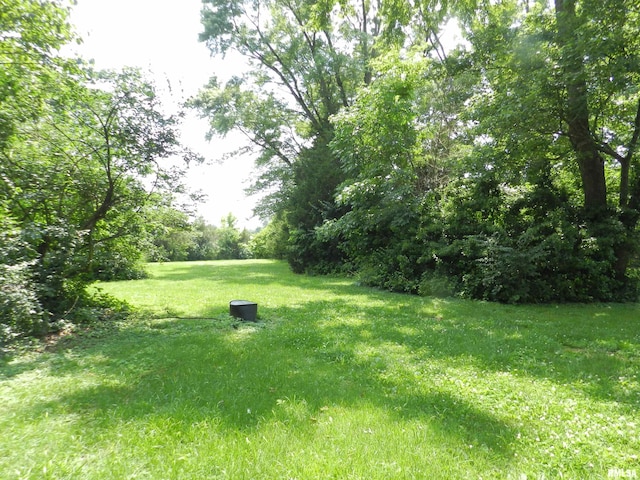 4370 Buncombe Rd, Vienna, IL 62995 - view of grassy yard