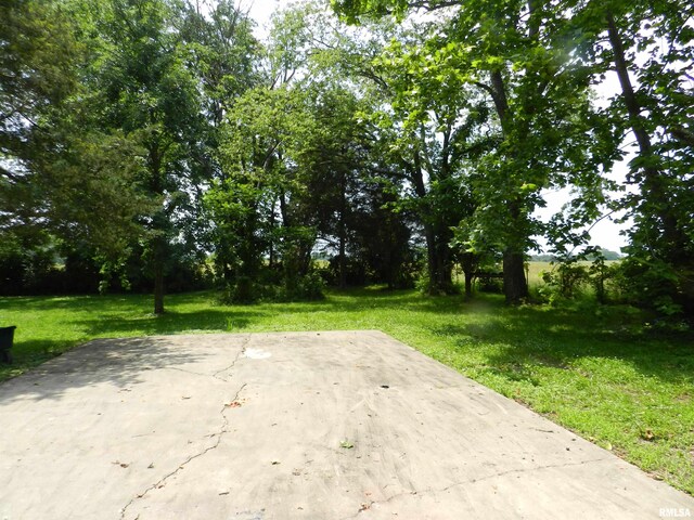 4370 Buncombe Rd, Vienna, IL 62995 - view of patio / terrace