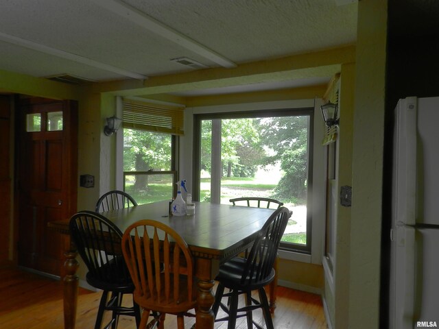 4370 Buncombe Rd, Vienna, IL 62995 - dining area with light wood-style floors and plenty of natural light