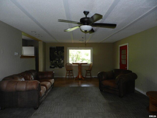 4370 Buncombe Rd, Vienna, IL 62995 - living area with a ceiling fan and baseboards