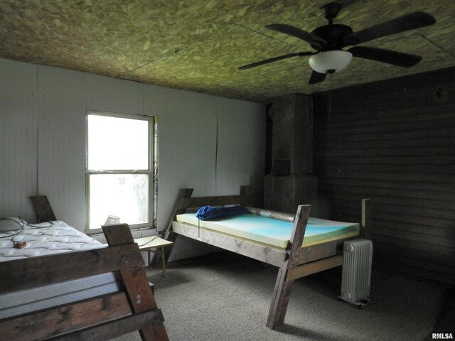 4370 Buncombe Rd, Vienna, IL 62995 - carpeted bedroom featuring radiator heating unit and a ceiling fan
