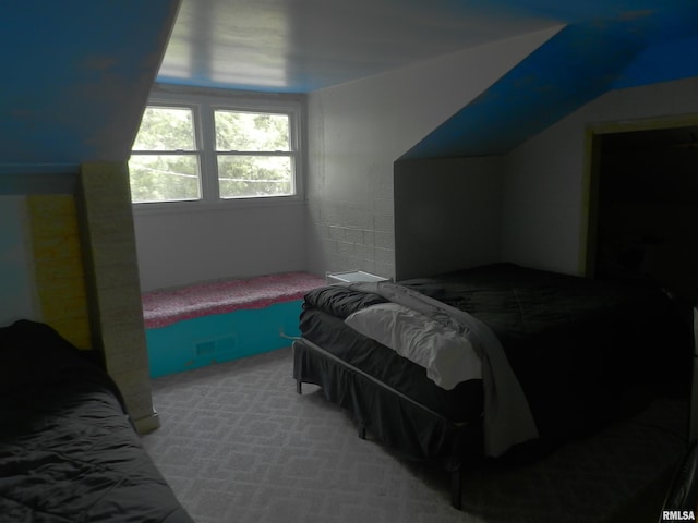 4370 Buncombe Rd, Vienna, IL 62995 - view of carpeted bedroom